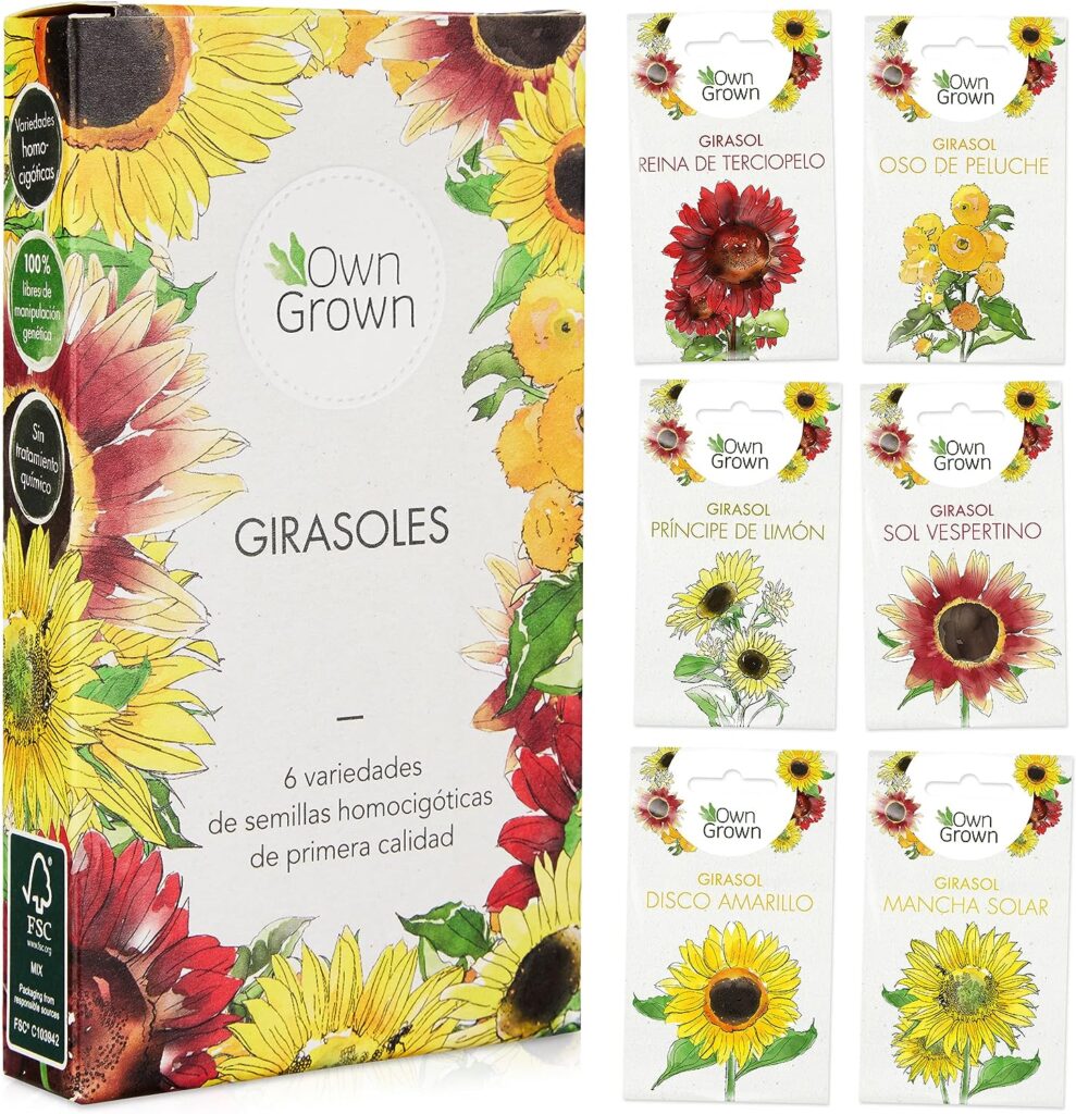 Kit de semillas de girasol: Simiente de girasol de primera calidad