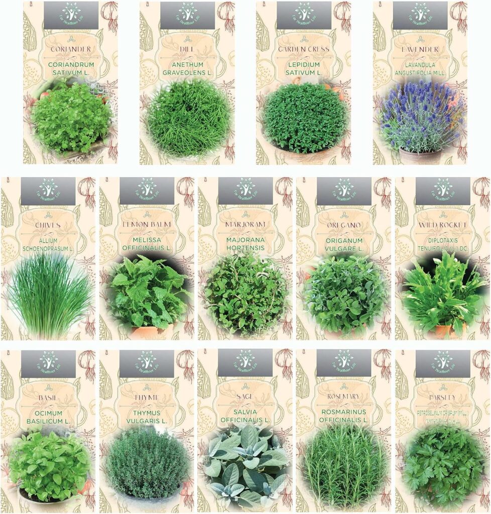 Nojaus Seklos - 14 paquetes de semillas de hierbas variadas